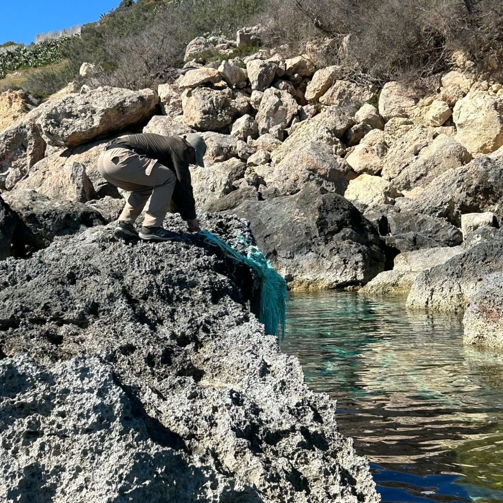 Marine litter removal