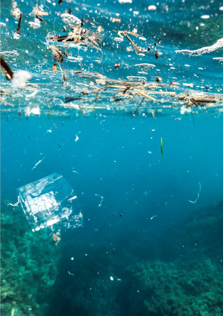 Coastal cleanup activity