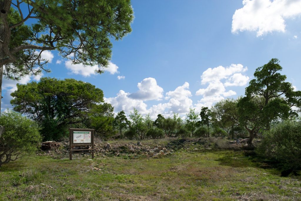 Ahrax and Mizieb woodland after restoration
