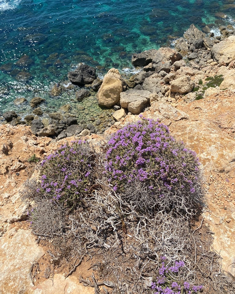 Natura 2000 terrestrial protected site in the Maltese Islands