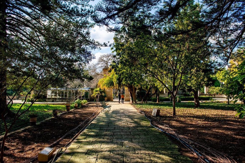 San Anton Gardens botanical collection