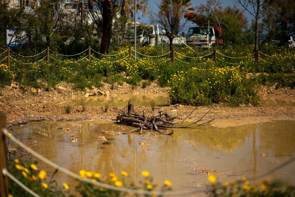 Simar Nature Reserve freshwater pools