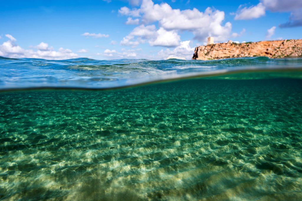 Shallow coastal waters within a Marine Protected Area