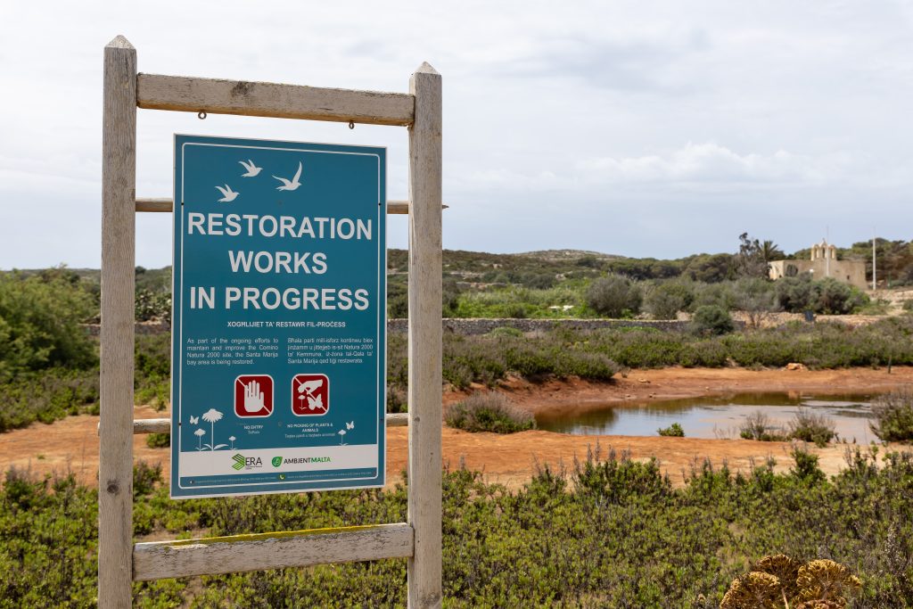 Comino native vegetation