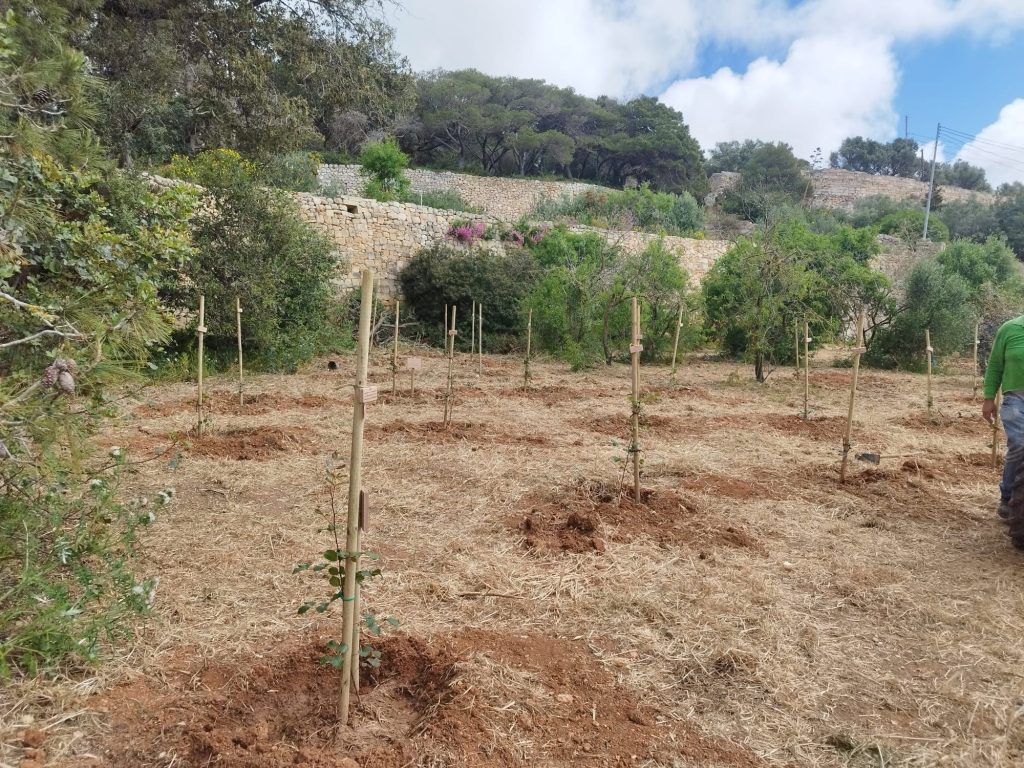 Habitat conservation and ecological restoration site in Malta