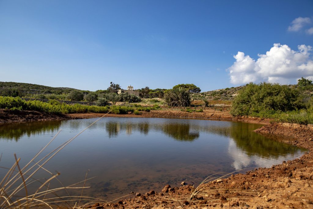 Comino habitat restoration site