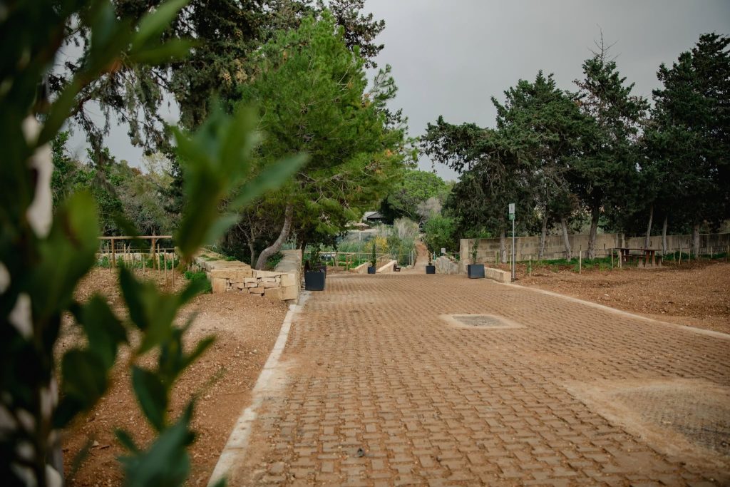 Wied Incita trees and vegetation