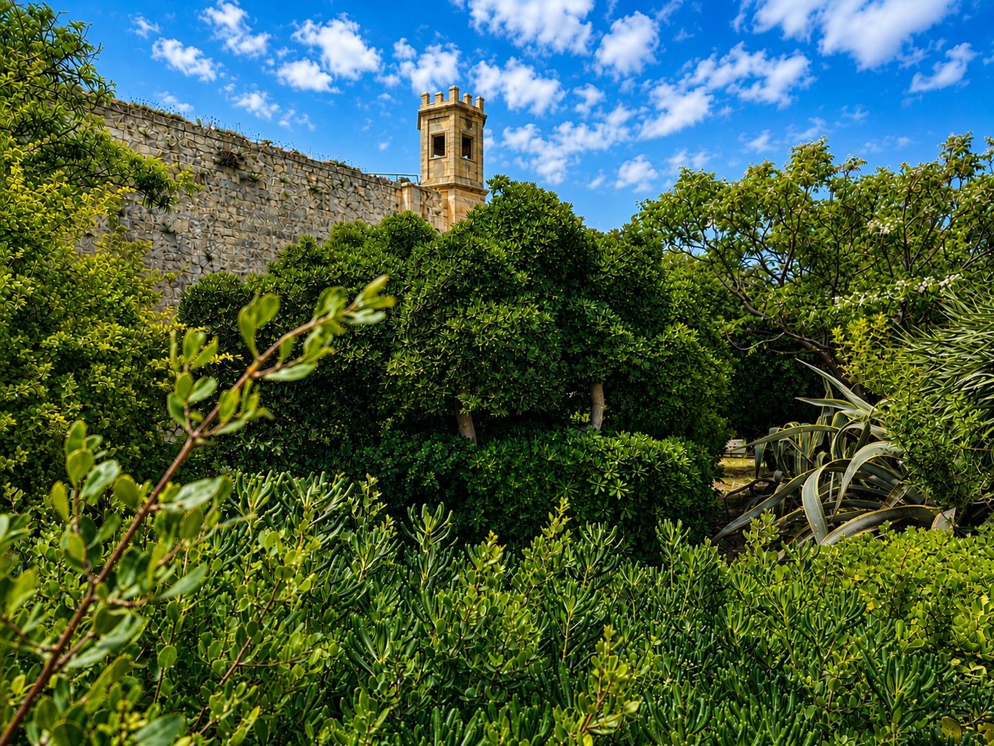In-Network tal-Ġonna Botaniċi ta’ Malta