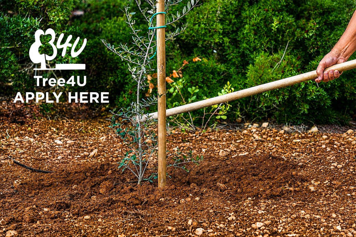 34U Tree Sponsor